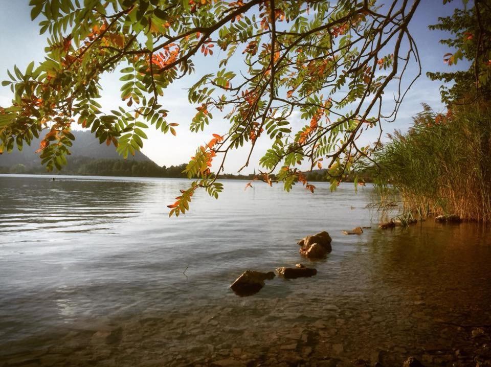 Apartmenthaus Der Johanneshof - Tolle Lage Nah Am See Schliersee Eksteriør billede